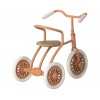 Tricycle - Corail