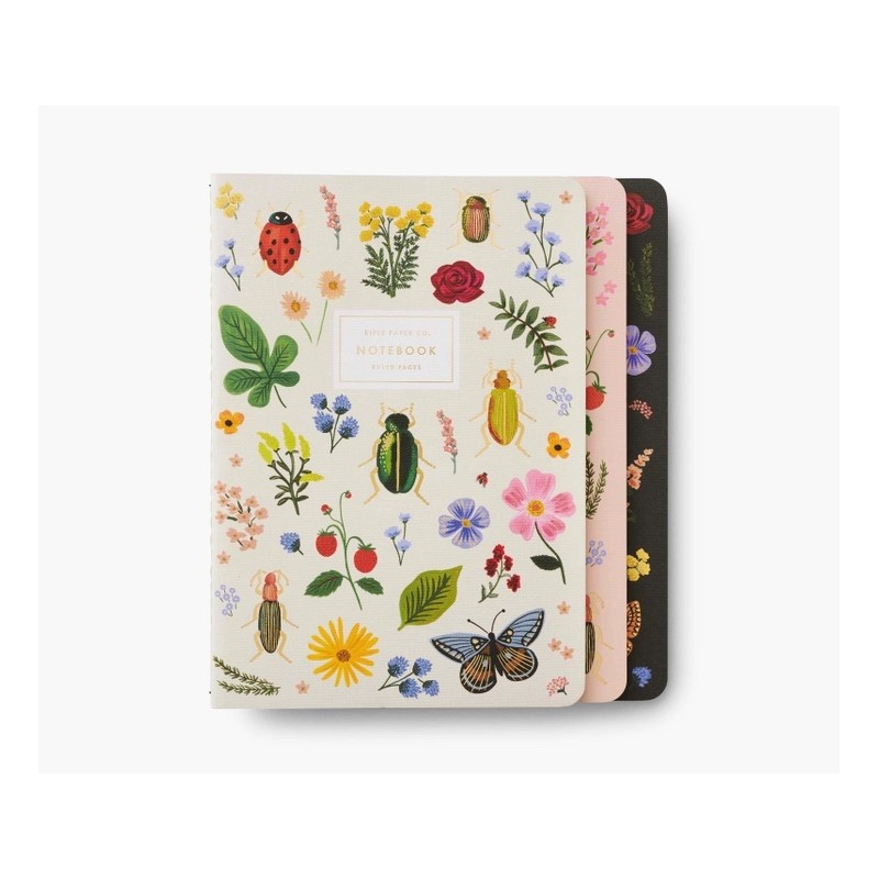 Set de 3 carnets - Curio