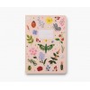 Set de 3 carnets - Curio