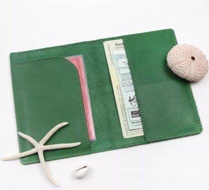 Etui papiers de voiture - Vert cactus