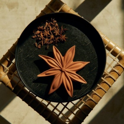 Fleur de badiane Janis - Terracotta