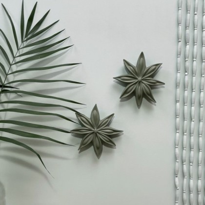 Fleur de badiane Janis - Provence