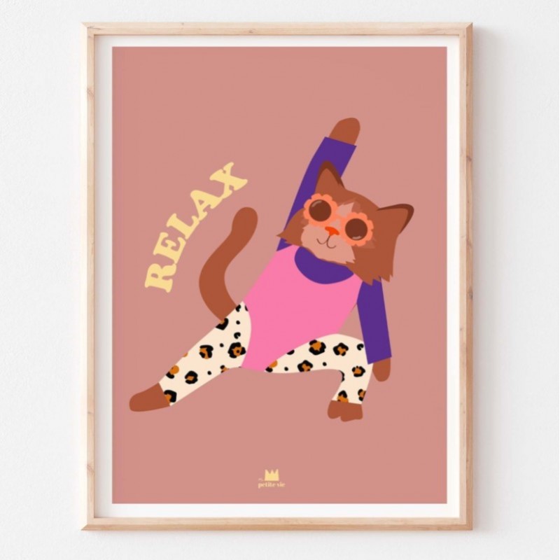 Affiche Chat aérobic