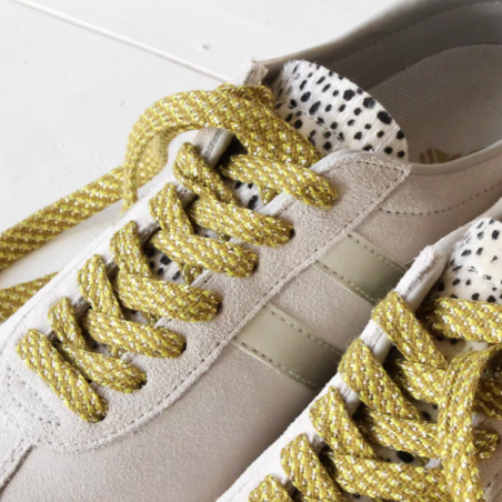 Lacets de chaussures - Tilleul