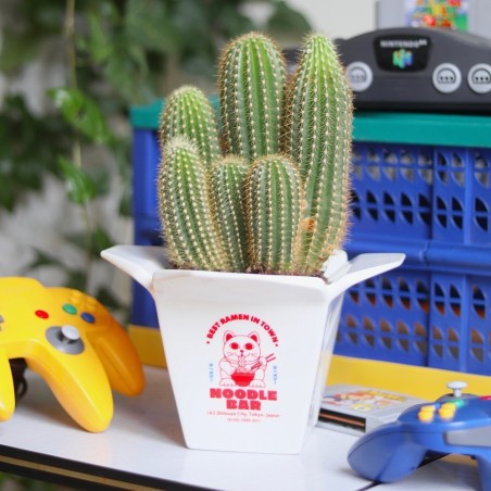 Vase / Cache pot - Ramen
