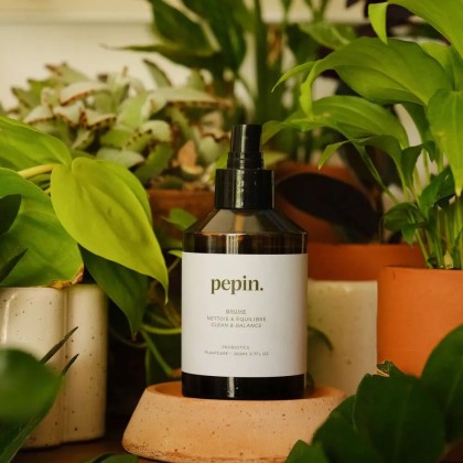 Brume nettoyante - Pépin