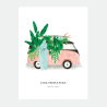 Affiche PM - Surf et plantes
