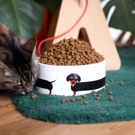 Gamelle Teckel en céramique