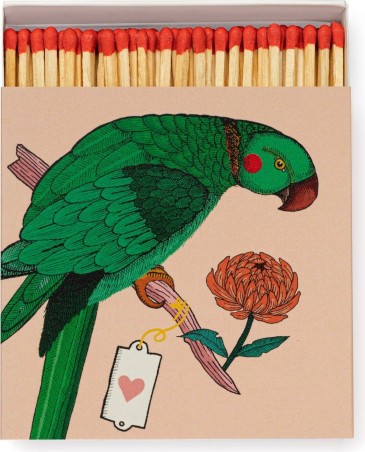 Boîte d'allumettes - Perroquet