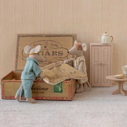 Maman et papa souris dans leur petite boîte