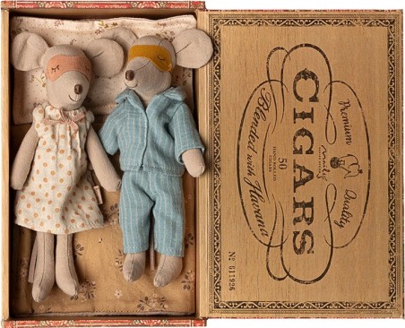 Maman et papa souris dans leur petite boîte