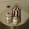 Boite Circus - Palmier