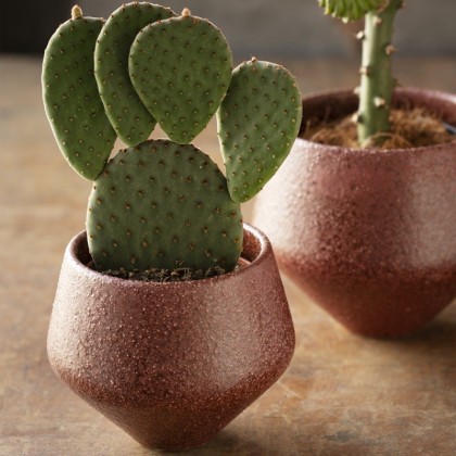 Cache pot - Framboise - Madam Stoltz