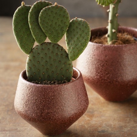 Cache pot - Framboise - Madam Stoltz