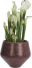 Petit Cache pot - Bordeaux - Madam Stoltz