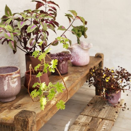 Petit Cache pot - Bordeaux - Madam Stoltz