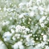 Pour toi maman - Gypsophile I La fabrique à sachets