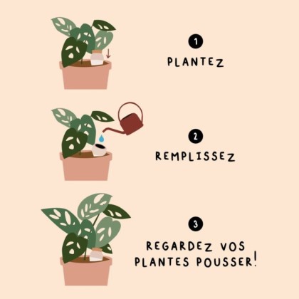 Olla - Blanc et coeur rouge - Pépin