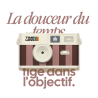 Appareil photos - Cream Rosewood - Timelens