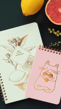 Carnet de recettes - Lemonade vert d'eau