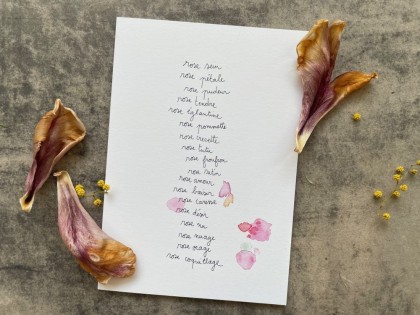 Carte double - Rose