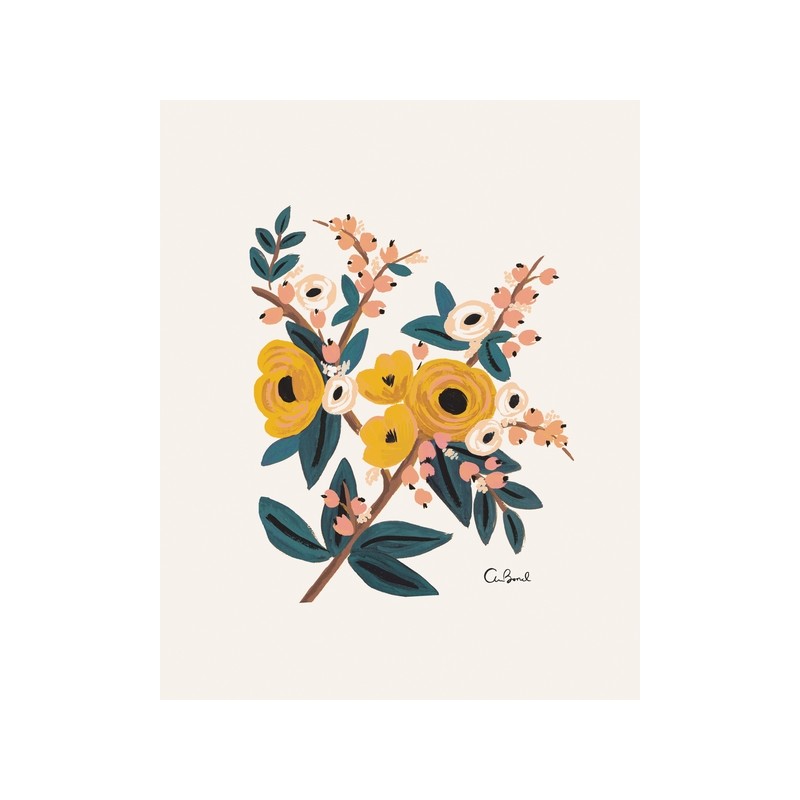 Affiche 20 x 25cm - Fleurs Marigold botanical