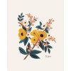 Affiche 20 x 25cm - Fleurs Marigold botanical