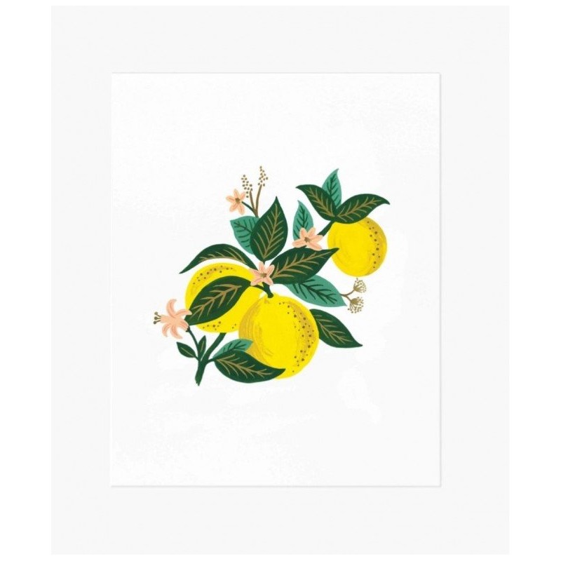 Affiche 20 x 25cm - Lemon blossom