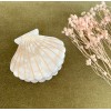 Barrette coquillage - Beige perle
